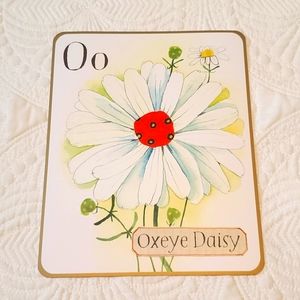 4 for $25! Letter O Oxeye Daisy Flower Card